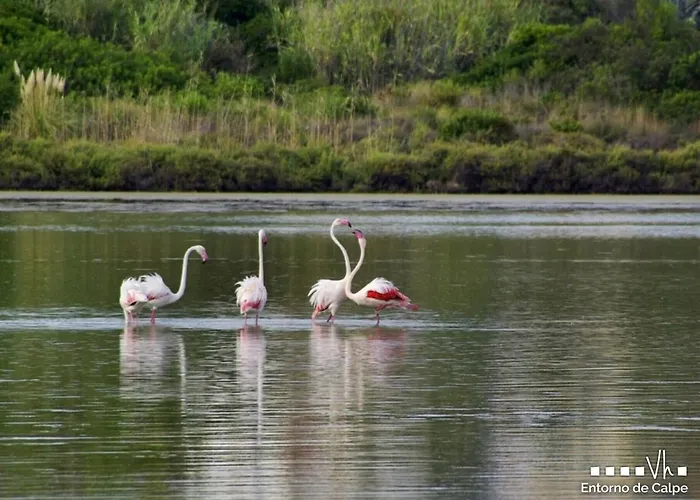 Villa Vh Costablanca - Eva